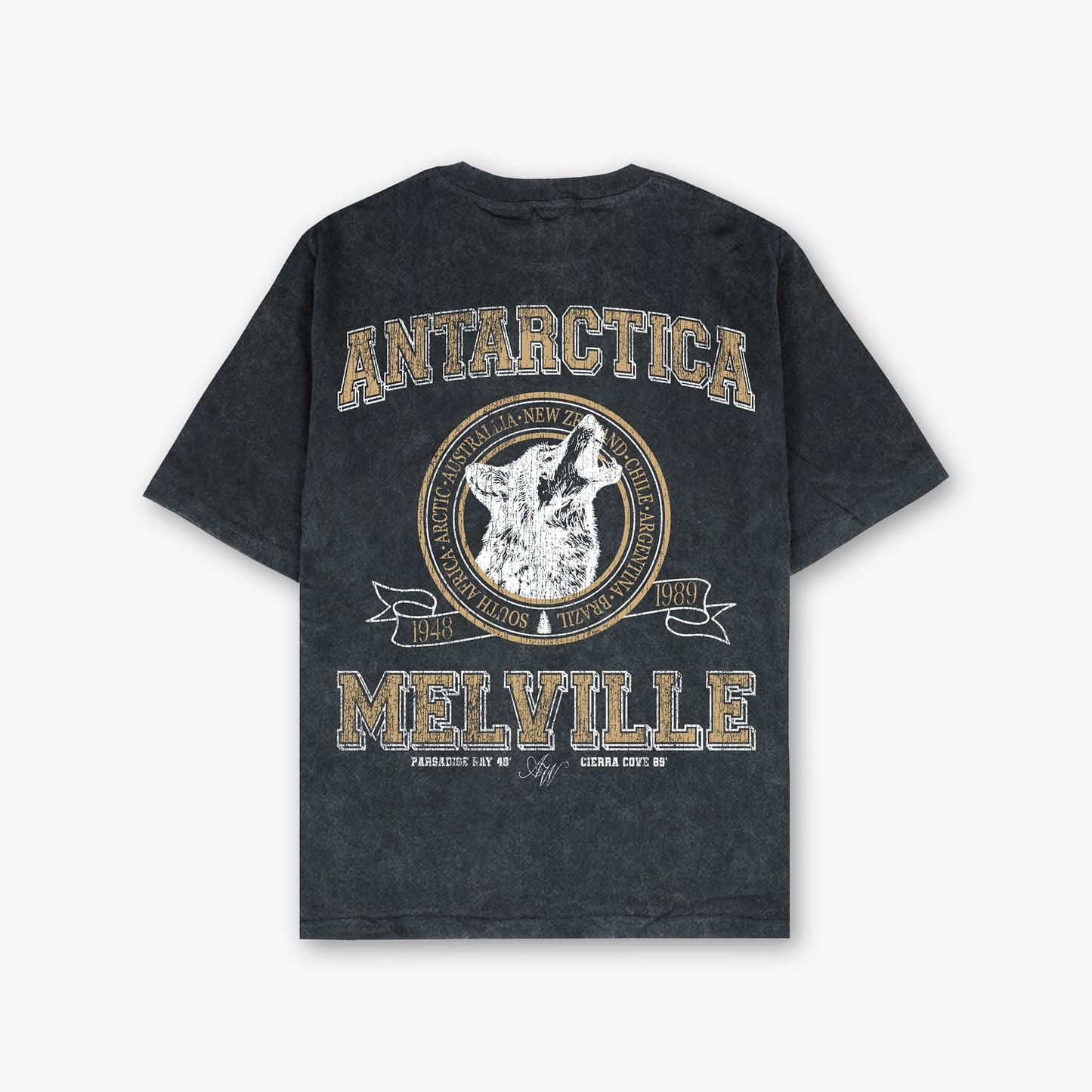 Antarctica Melville Vintage Front And Back Print Washed T-Shirt