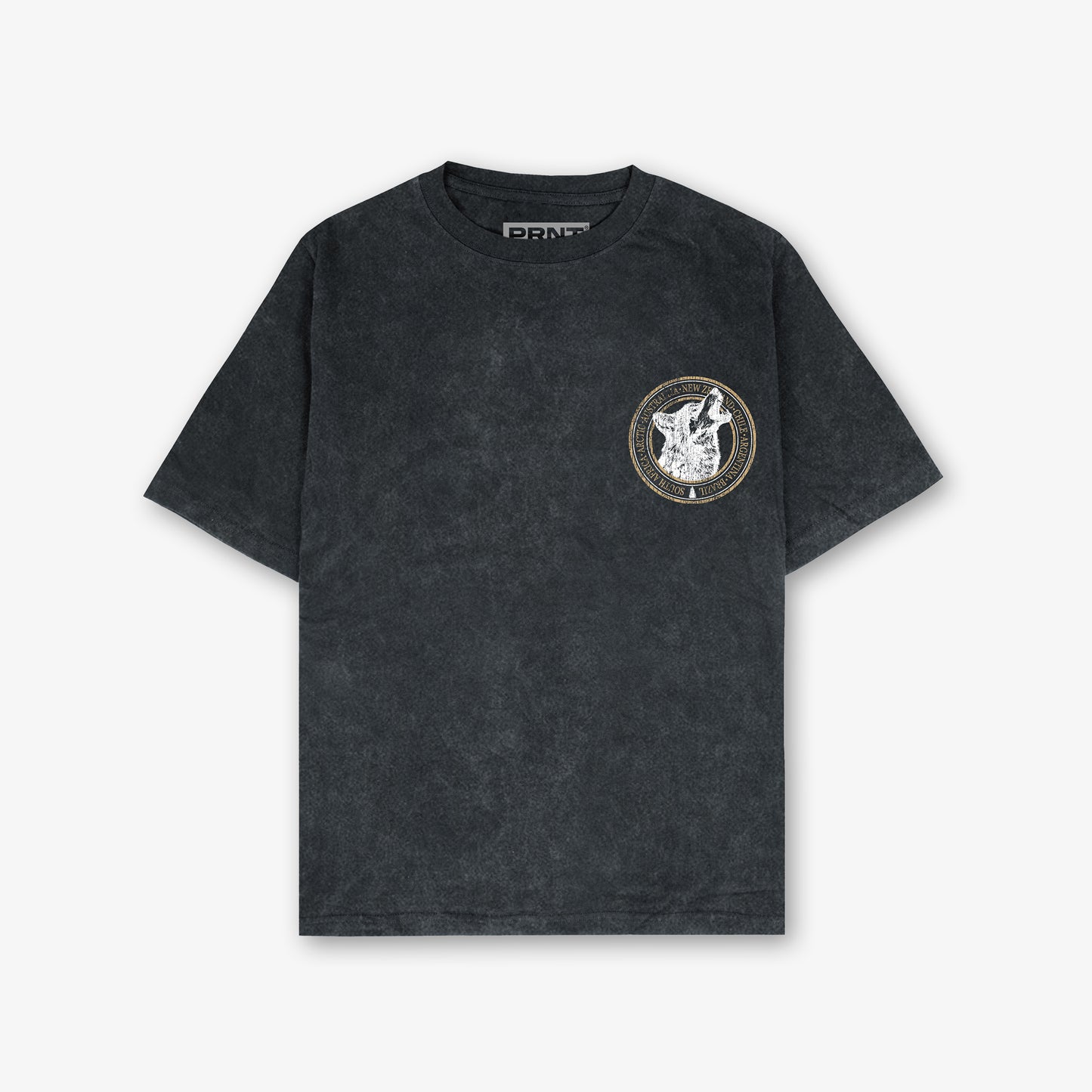 Antarctica Melville Vintage Front And Back Print Washed T-Shirt