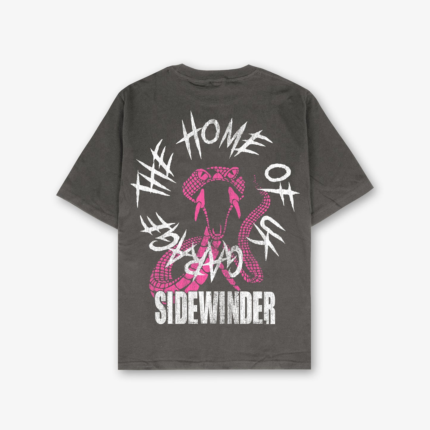 Sidewinder Home Front And Back Print Washed T-shirt