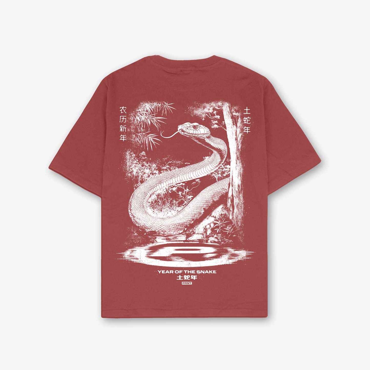 Cny Classic Front Print And Back Print Washed T-Shirt