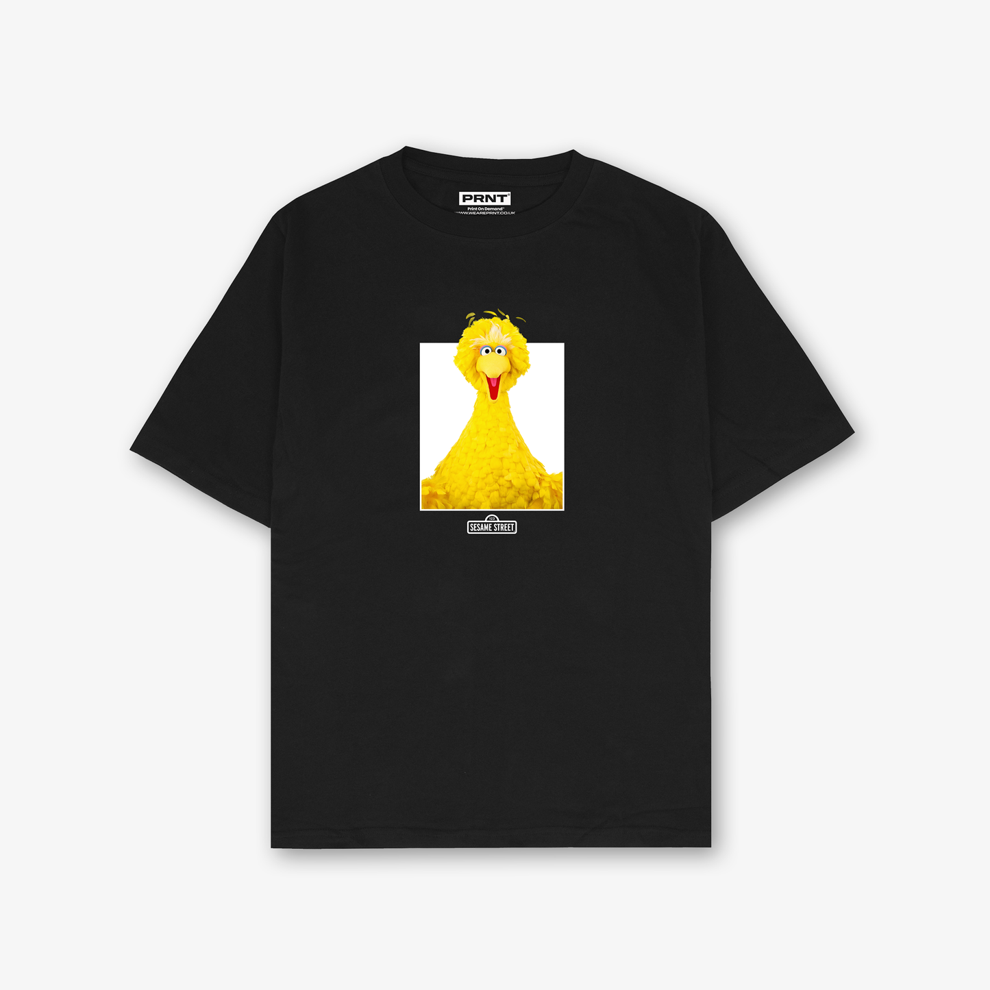 Big Bird Photo T-Shirt
