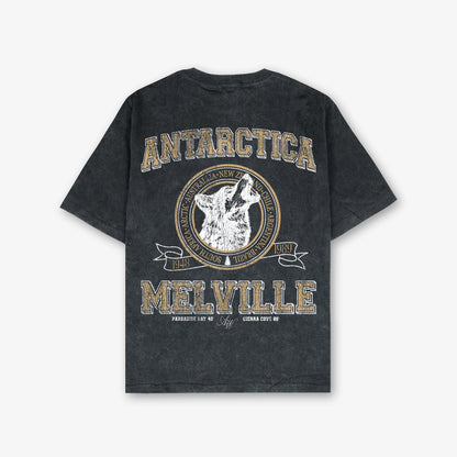 Antarctica Melville Vintage Front And Back Print Washed T-Shirt