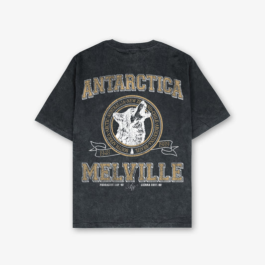 Antarctica Melville Vintage Front And Back Print Washed T-Shirt