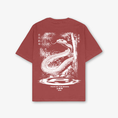 Cny Classic Front Print And Back Print Washed T-Shirt