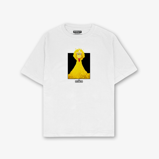 Big Bird Photo T-Shirt